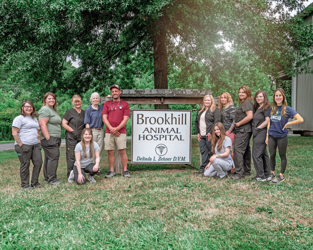 Animal Hospital in Conyngham, PA